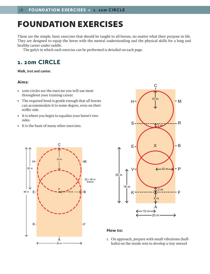 100  School Exercises for Dressage