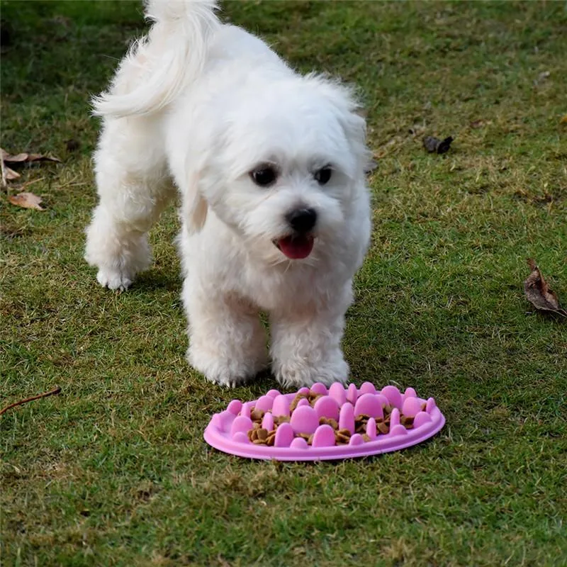 Anti-Choke Slow Feed Dog Bowl, Fun Feeder Interactive Bloat Stop Dog Bowl, Anti-Gulping Dog Bowl, Eco-friendly, Durable and Non Toxic