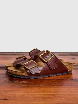 Arizona Bold Sandal in Roast