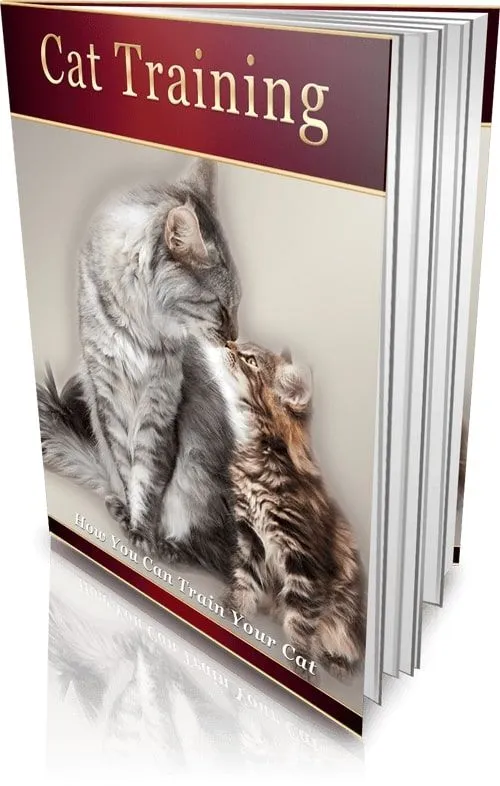 Cat Training - Master the Art of Training Your Cat!