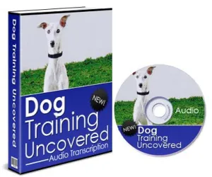 Dog Training Uncovered: Expert Tips in Our Training Book!