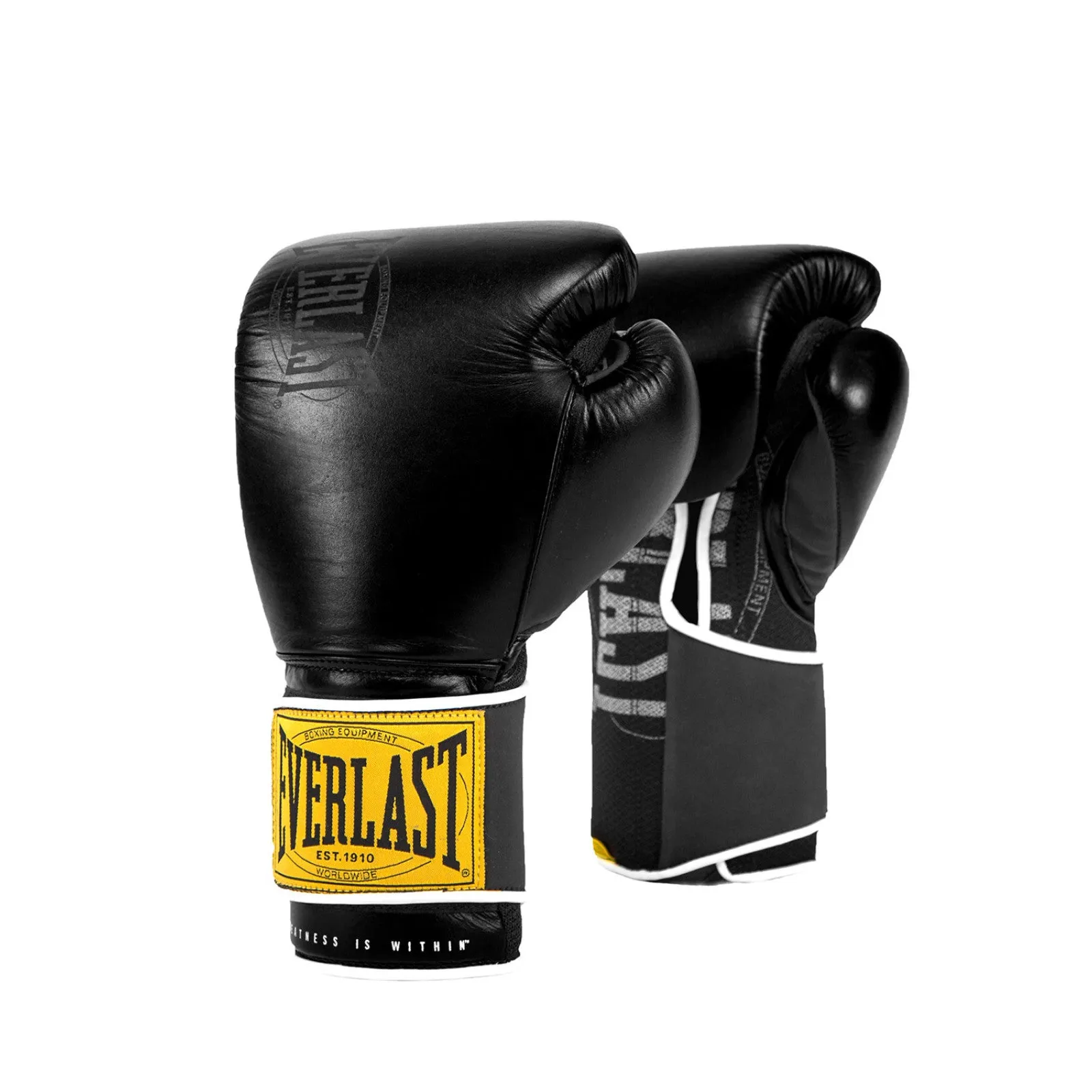 Everlast 1910 Classic Training Leather Boxing Gloves