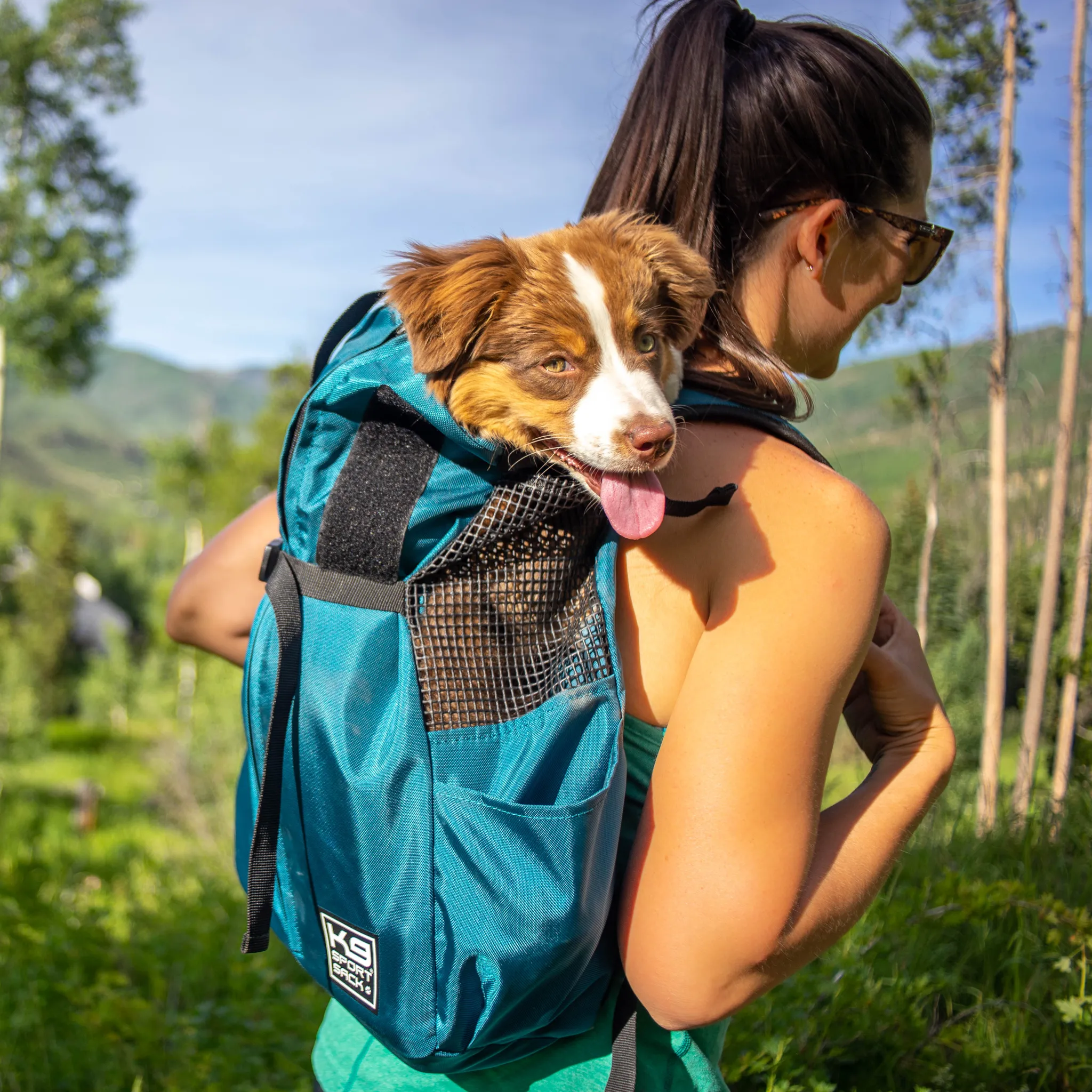 K9 Sports Sack | Trainer Dog Backpack Carrier | 4 Sizes | Harbour Blue