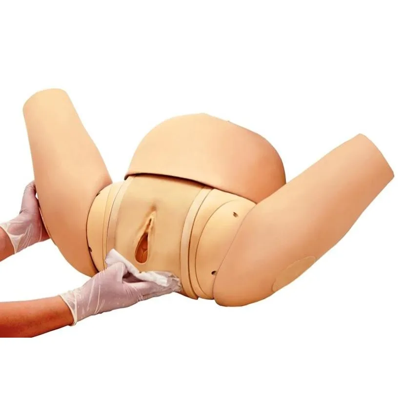 Kyoto Kagaku Vaginal Delivery Assistance Simulator