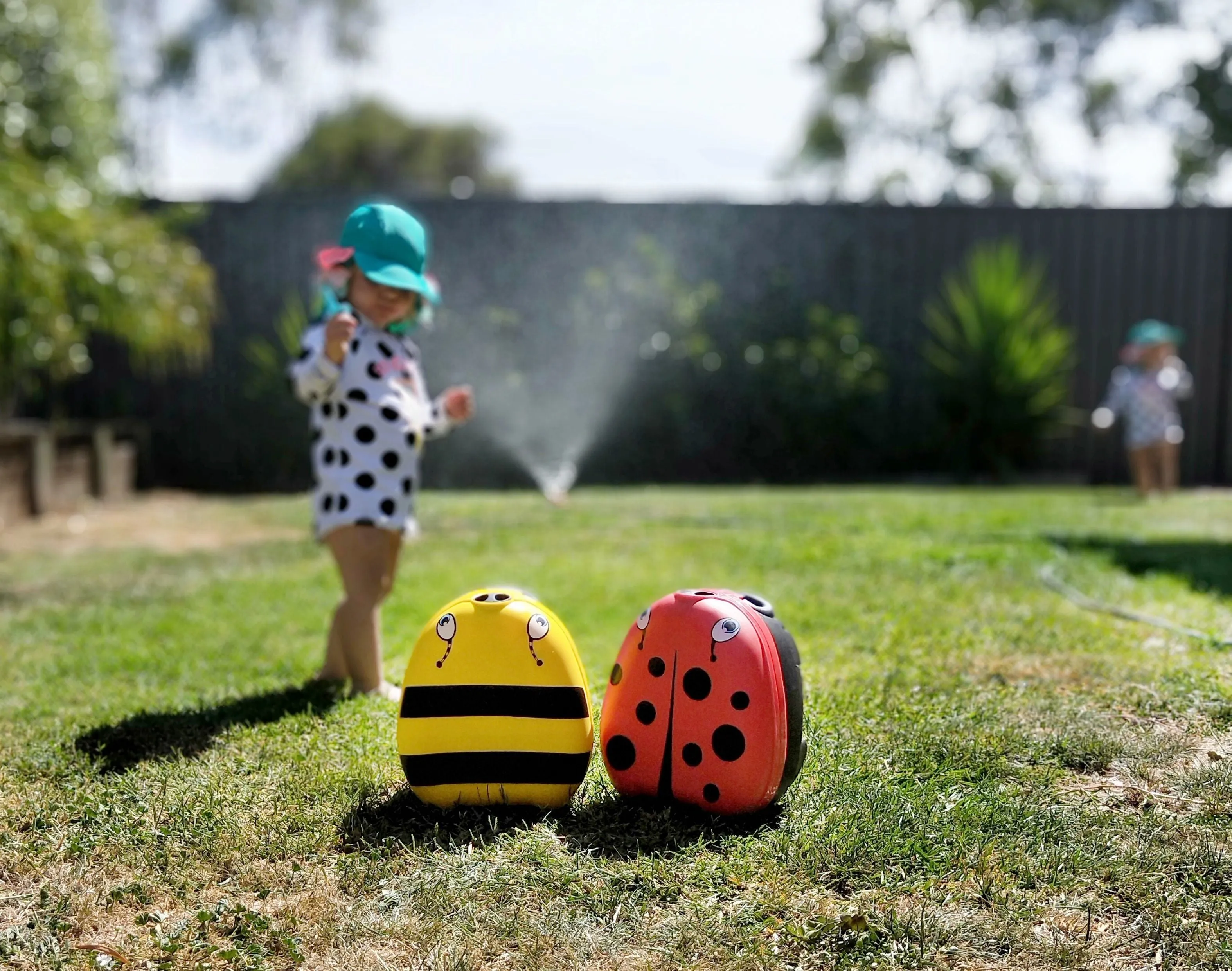 My Carry Potty - Ladybird