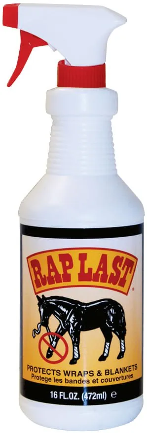 RapLast