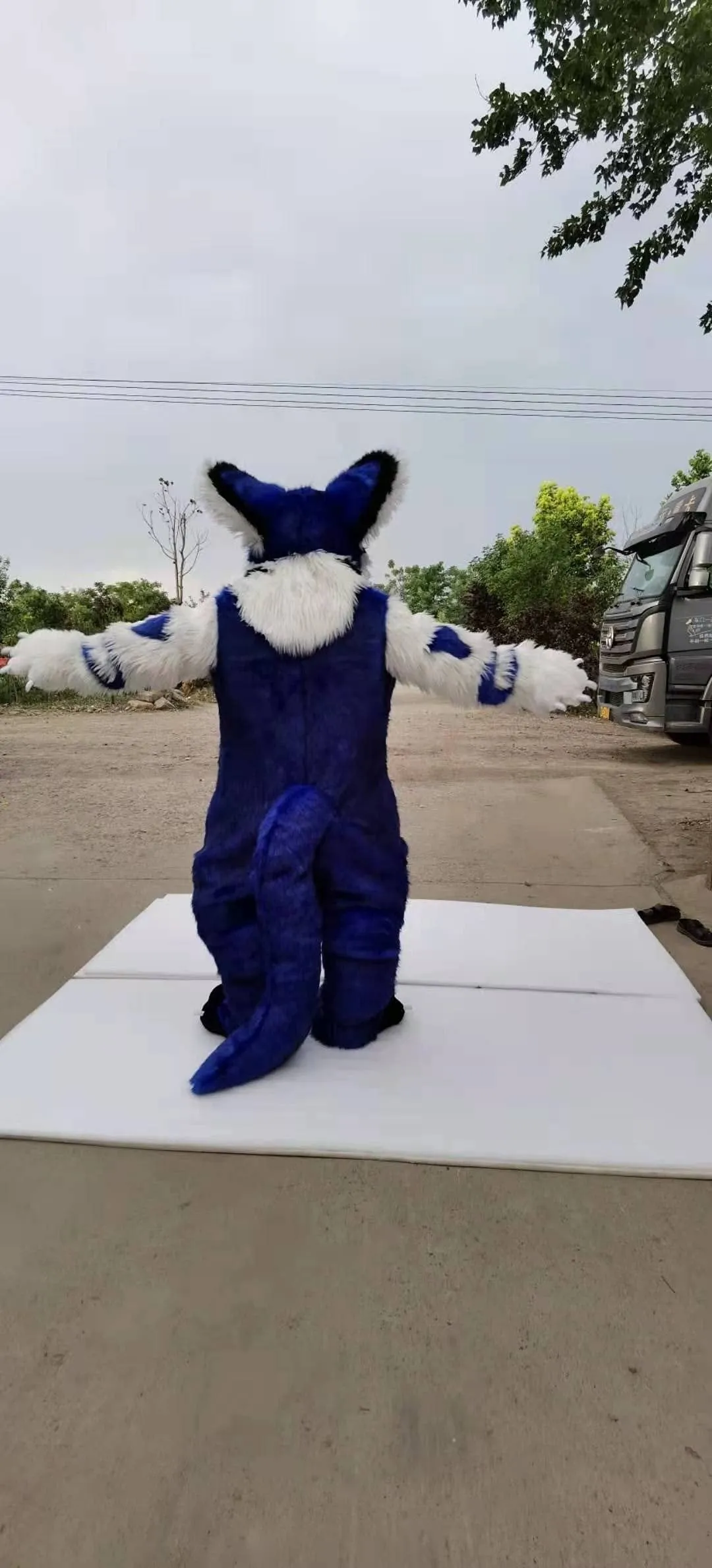 Royal Blue Cat Kitten Wolf Fox Fursuit Furry Costumes Furries