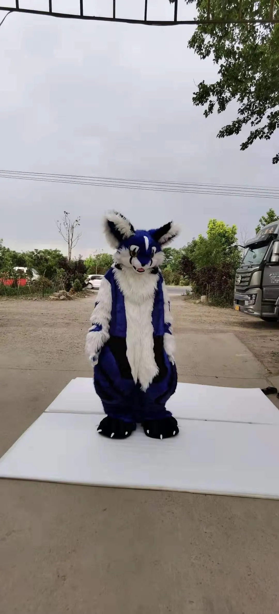 Royal Blue Cat Kitten Wolf Fox Fursuit Furry Costumes Furries