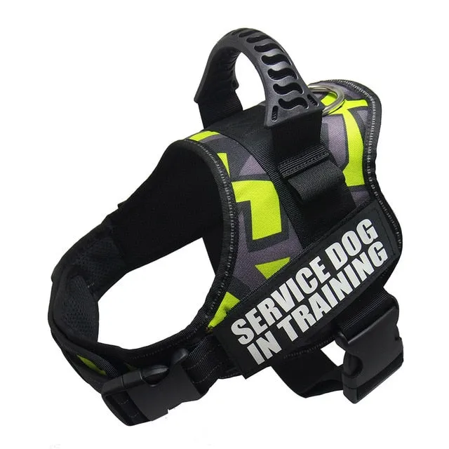 Service Dog in Training Harness (No-Pull)