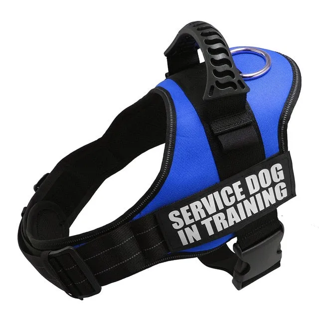 Service Dog in Training Harness (No-Pull)