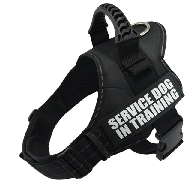 Service Dog in Training Harness (No-Pull)