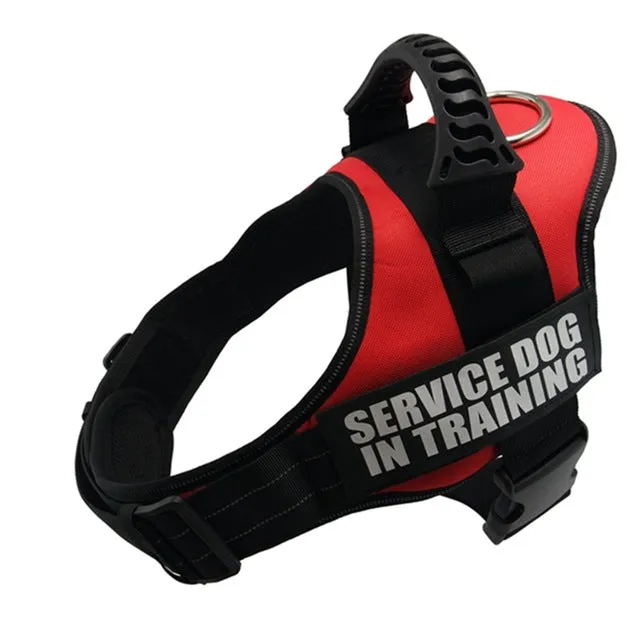 Service Dog in Training Harness (No-Pull)