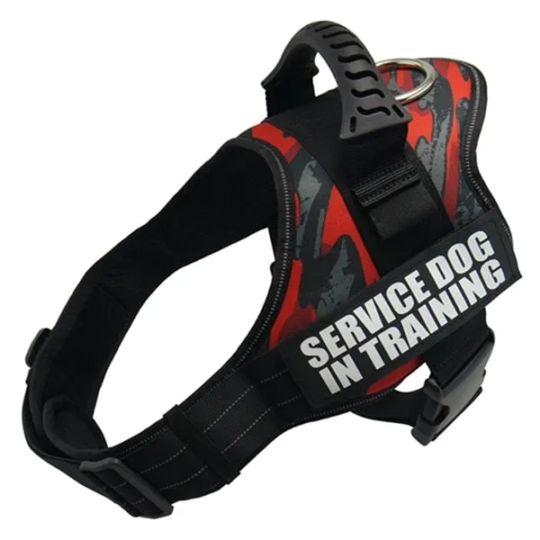 Service Dog in Training Harness (No-Pull)