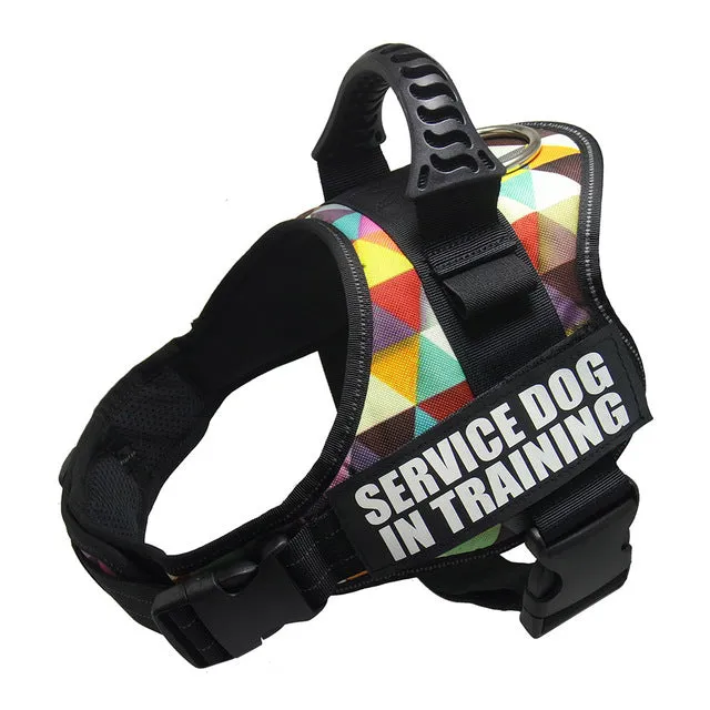 Service Dog in Training Harness (No-Pull)