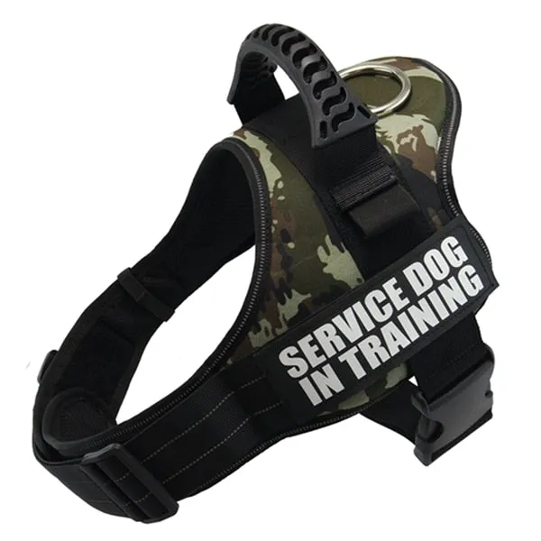 Service Dog in Training Harness (No-Pull)