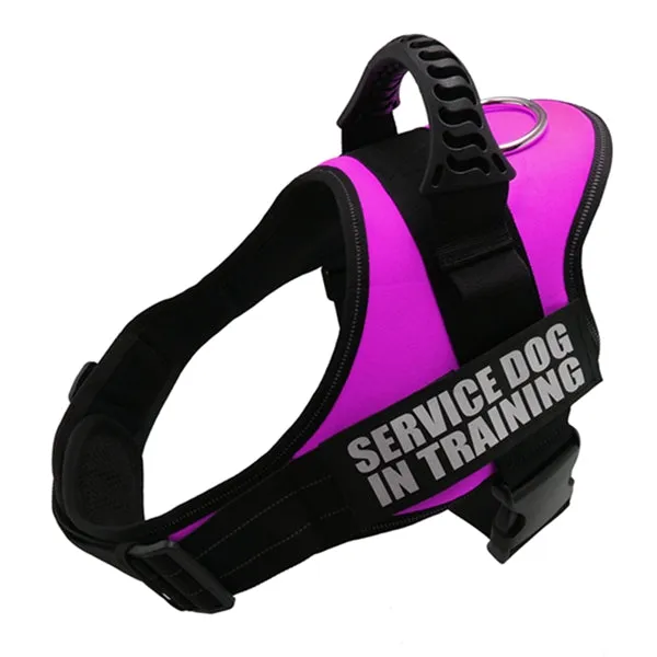 Service Dog in Training Harness (No-Pull)