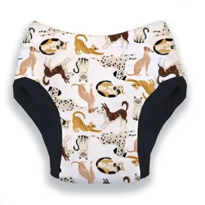 Thirsties Potty Training Pants