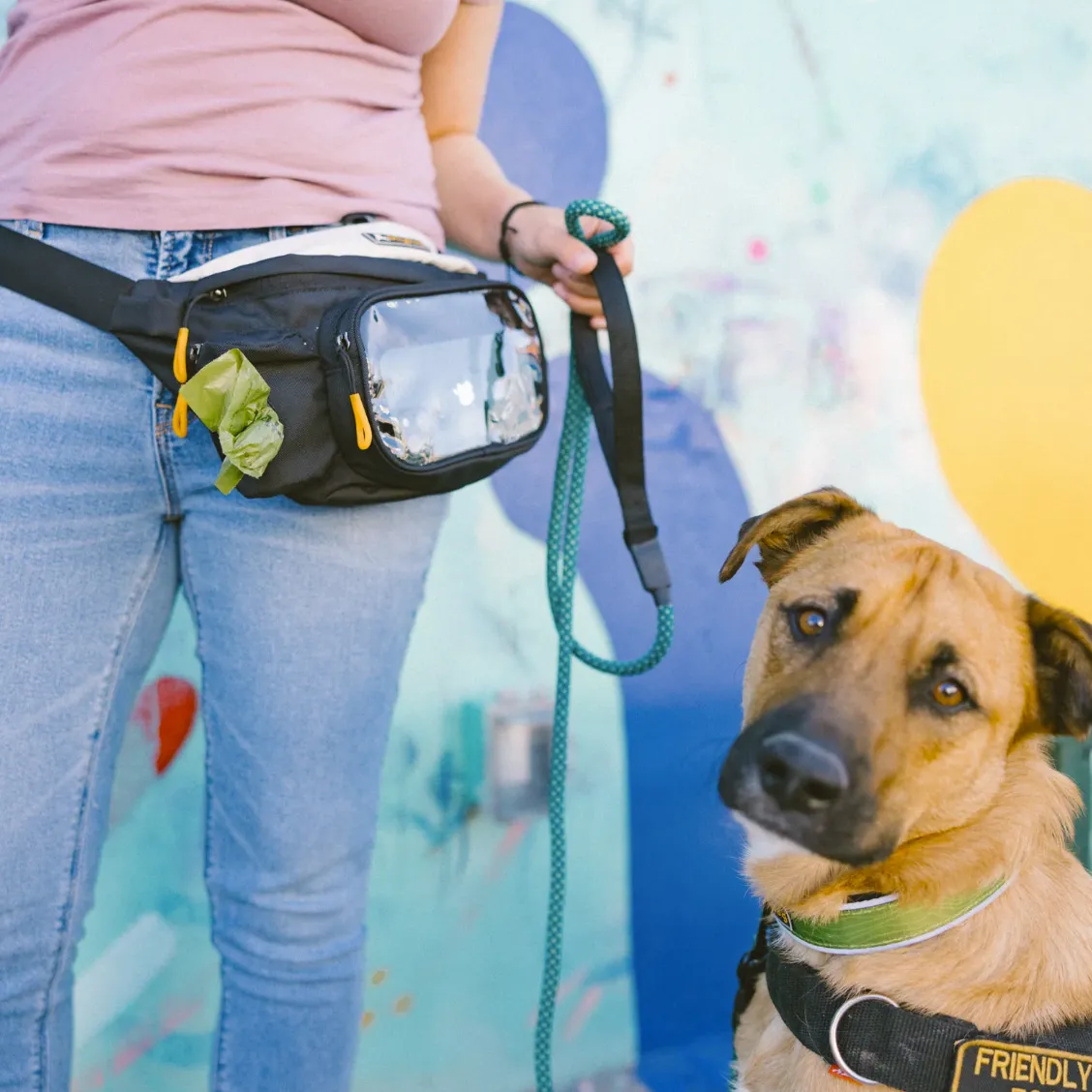 Trailblazer Pack With Bouncy Ball | Adventure Waist Pack