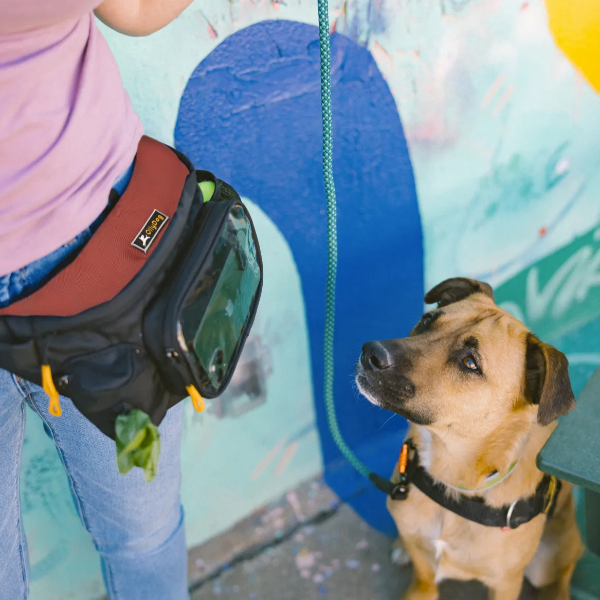 Trailblazer Pack With Bouncy Ball | Adventure Waist Pack