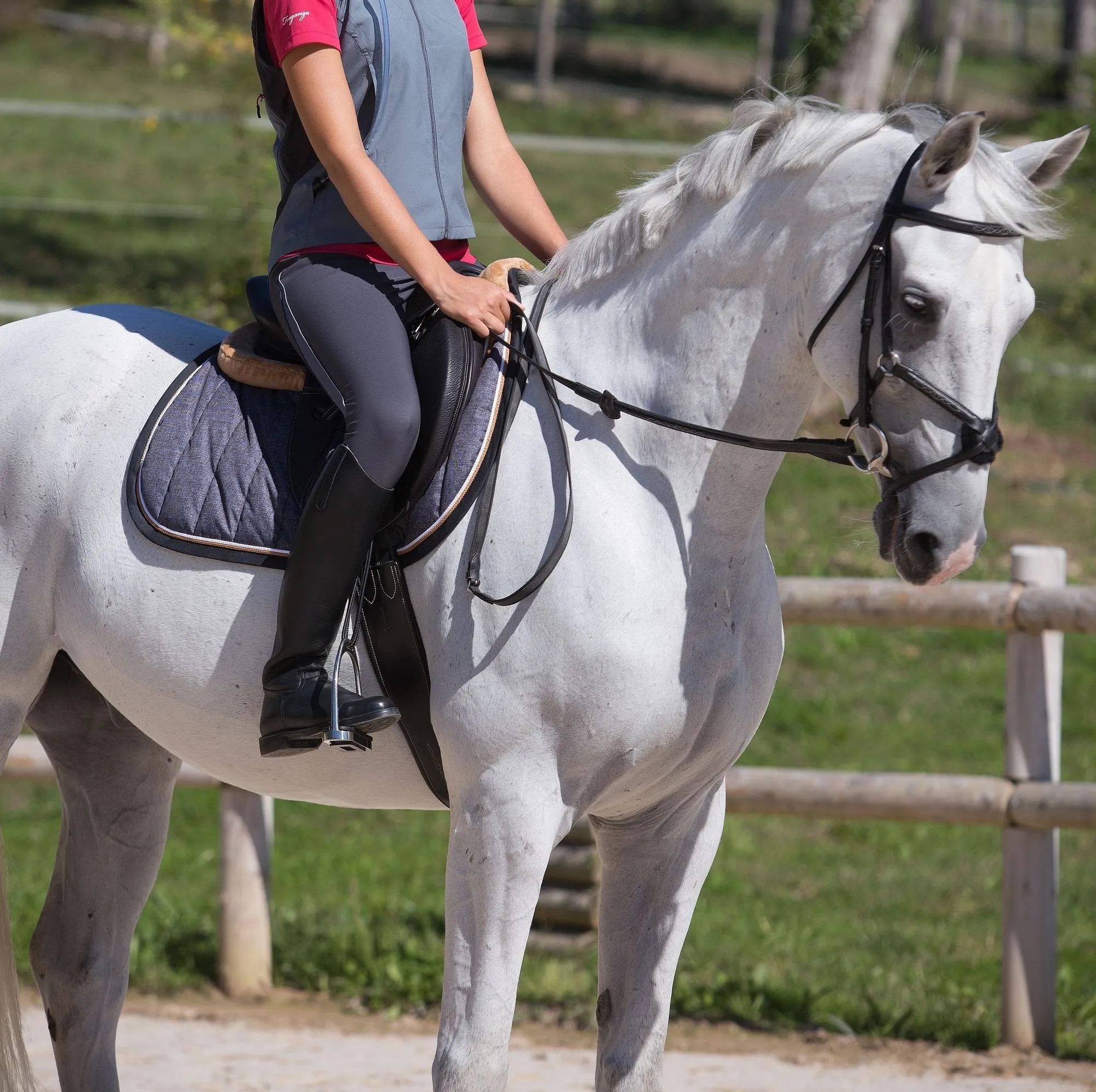 Women's Light Mesh Riding Training Jodhpurs