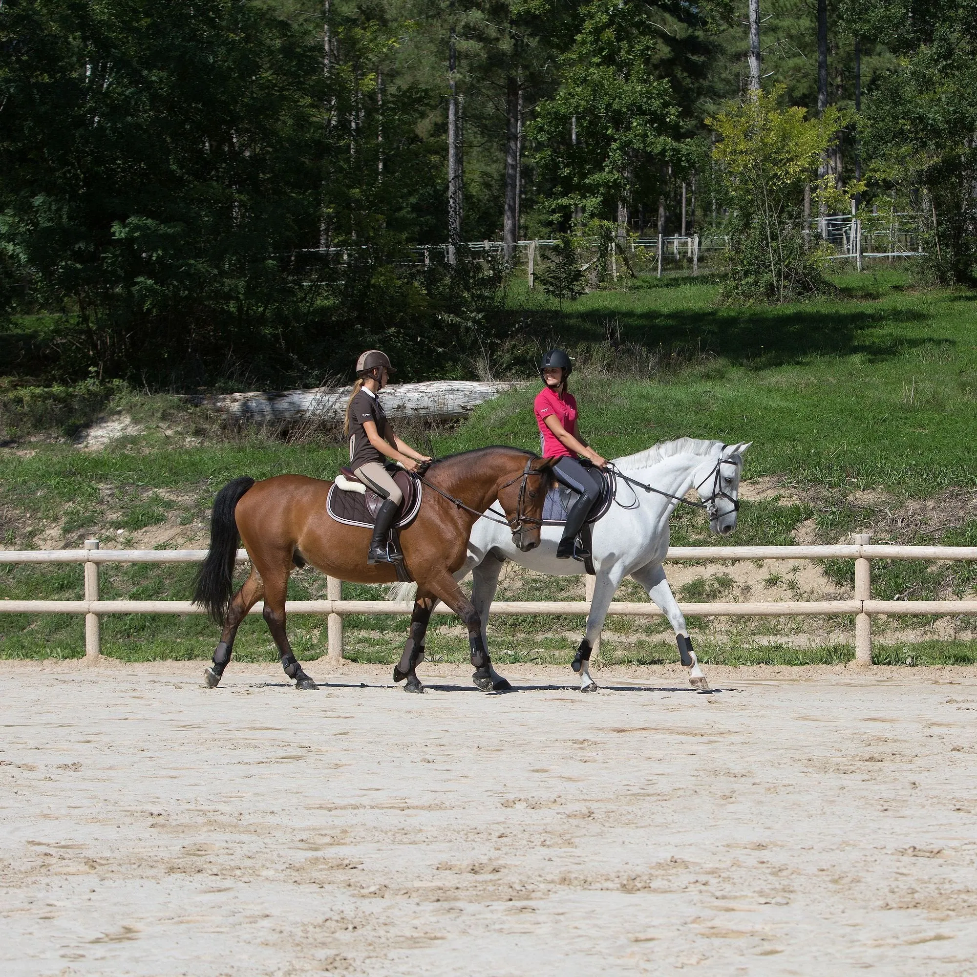 Women's Light Mesh Riding Training Jodhpurs